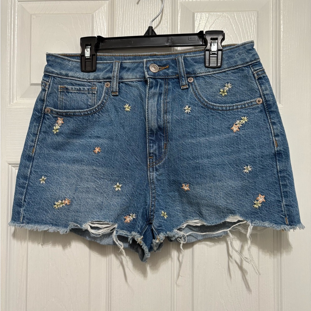 American Eagle Embroidered Shorts